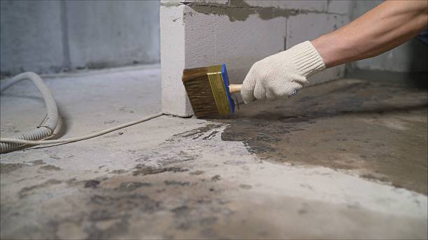 SJ Waterproofing Pros Waterproofing coverage map for Belmont, MI and surrounding area